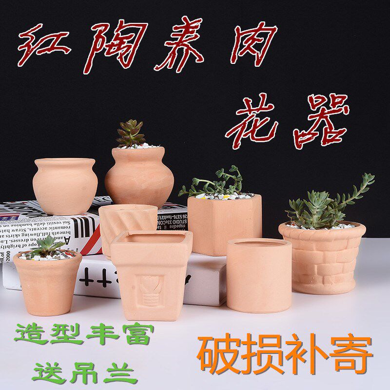 红陶多肉花盆 红陶土花盆素烧花盆拇指盆陶瓷红陶花盆手绘盆