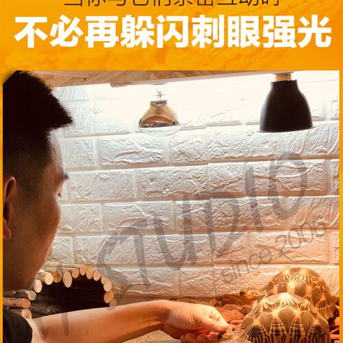 DH 爬宠卤素UVA日灯聚热爬虫箱晒背灯寿命久陆龟鬃狮半水龟蜥蜴