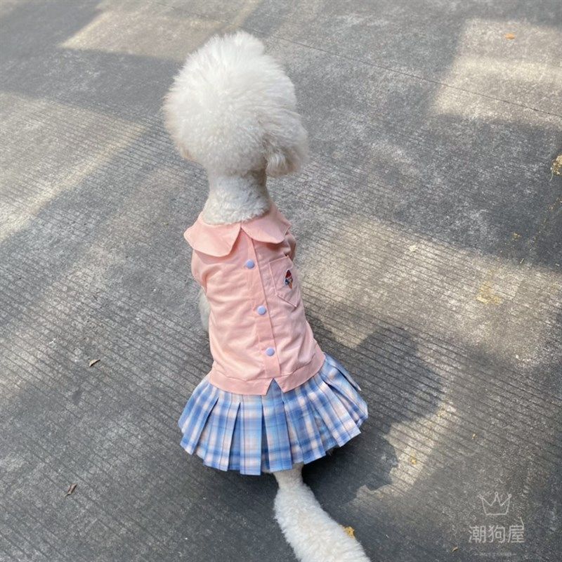 大狗Jk制服套装金毛拉多萨摩耶裙子巨贵春夏装松狮边牧公主裙狗裙