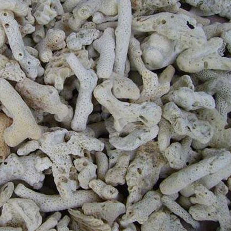 鱼缸过滤材料水族箱细菌屋珊瑚砂造景装饰天然石珊瑚骨净水稳定PH
