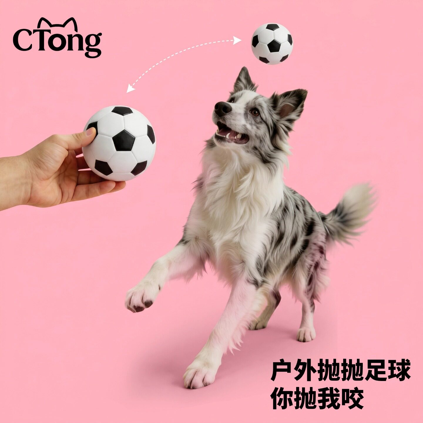 宠统弹力狗咬球磨牙洁齿狗耐咬磨牙神器可浮水逗狗球橡胶足球玩具