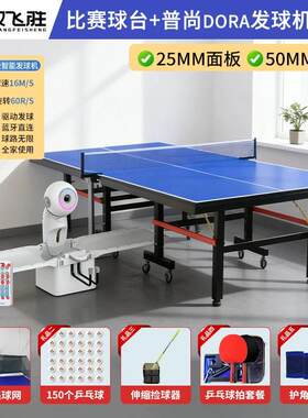室内国标尺寸乒乓球桌配发球机集球网捡球器乒乓球拍组合装