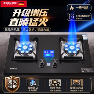 德国精工双灶定时大火力燃气灶