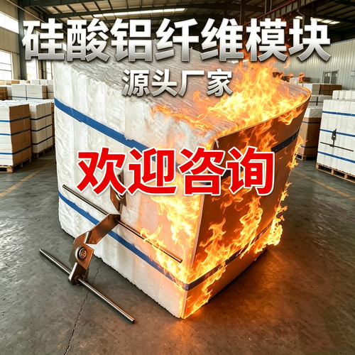 鲁阳硅酸铝纤维模块防火耐高温
