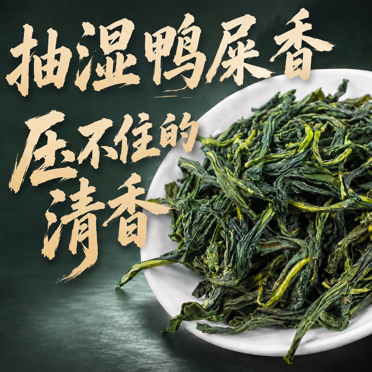 凤凰单枞茶特级高香抽湿鸭屎香