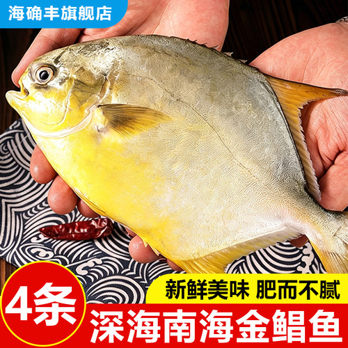 海确丰新货金鲳鱼海鲜包邮