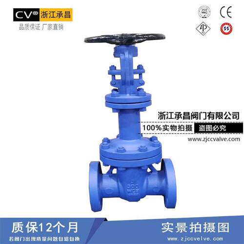 专业生产WZ41H-16C德标波纹管闸阀法兰波纹管闸阀