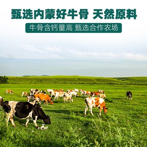 RedBones红骨狗狗磨牙棒中大型犬漂亮骨营养美味洁齿耐啃牛骨