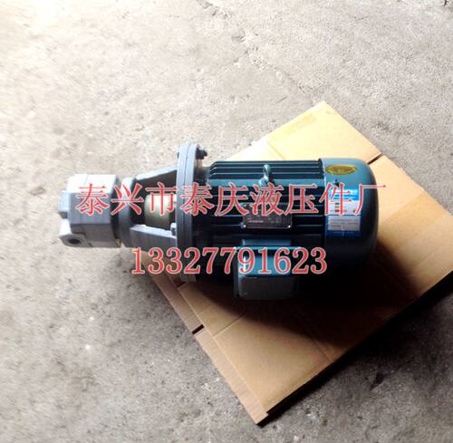 摆线齿轮油泵电机组BB-B16/20/32立卧 BB-B25NJZ 1.5KW 1.1KW0.75