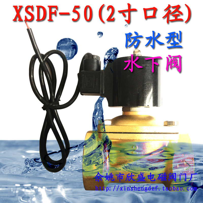 2寸水下电磁阀DN50 XSDF-50跑泉 水用潜水喷泉电磁阀 快速开闭