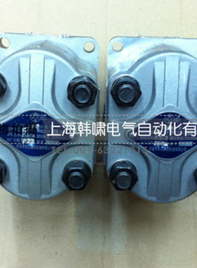 油泵CBN-E310齿轮泵,中高压,小排量齿轮油泵(平键)润滑泵,液压泵