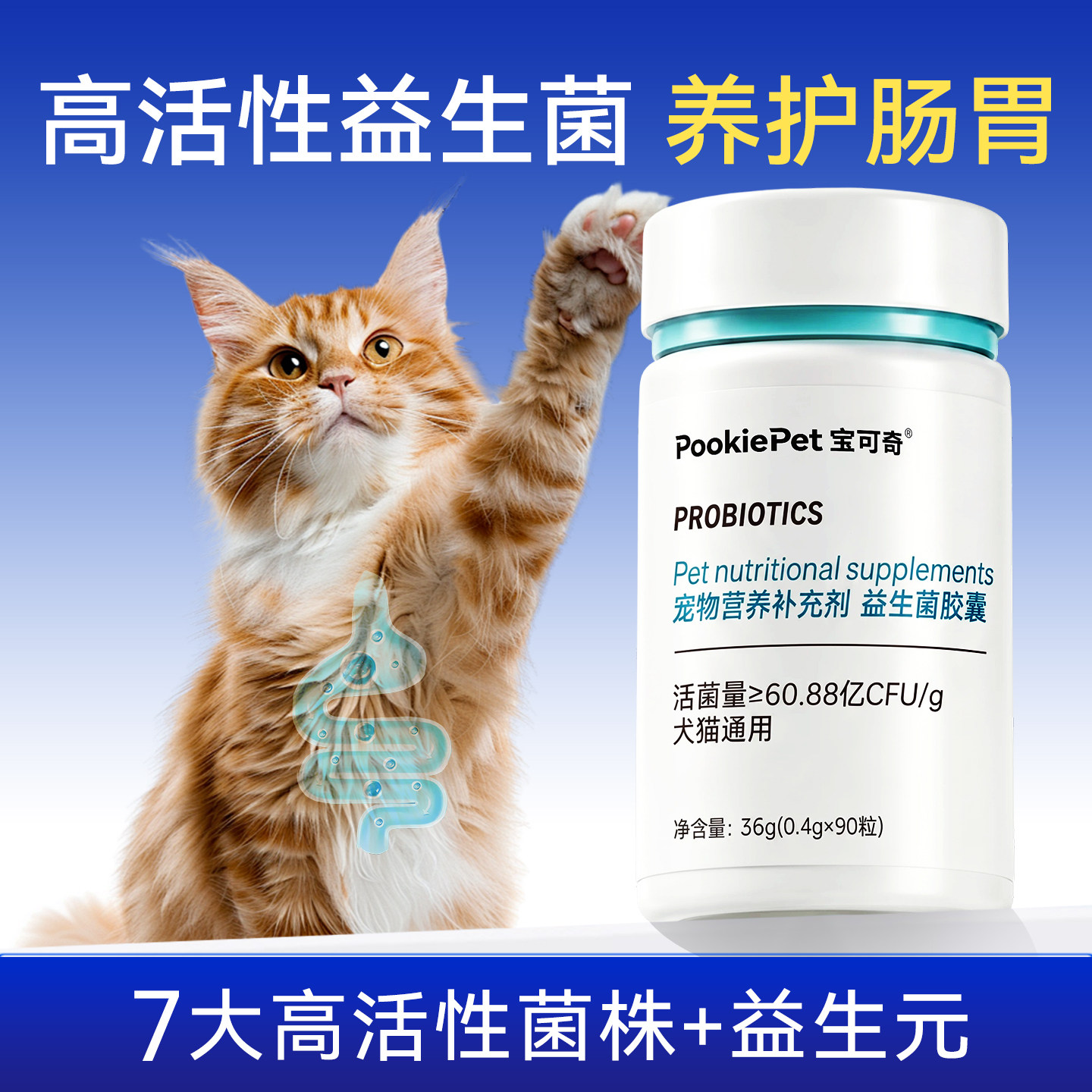 PookiePet宝可奇宠物益生菌胶囊狗猫肠胃养护提高免疫多维补充图片