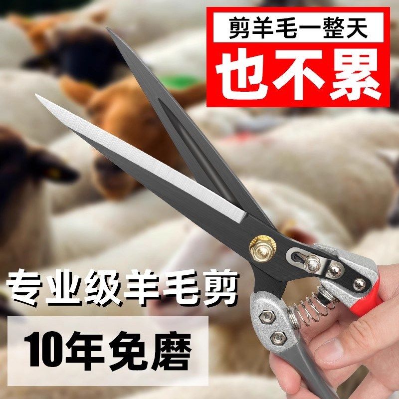 羊毛剪刀手动剪羊毛的剪子羊毛专用剪工具弹簧兔狗毛家用修毛剪图片
