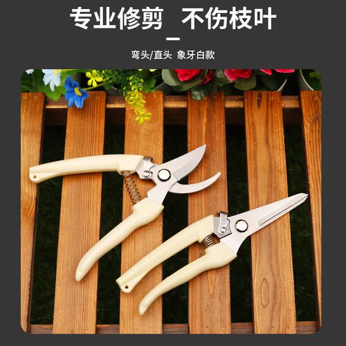果树修枝粗枝剪刀园艺园林修花枝剪家用强力花剪子神器剪枝剪刀