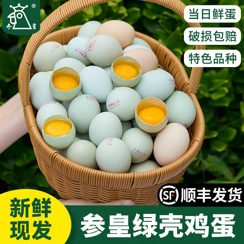 参皇绿壳鸡蛋当日鲜顺丰包赔