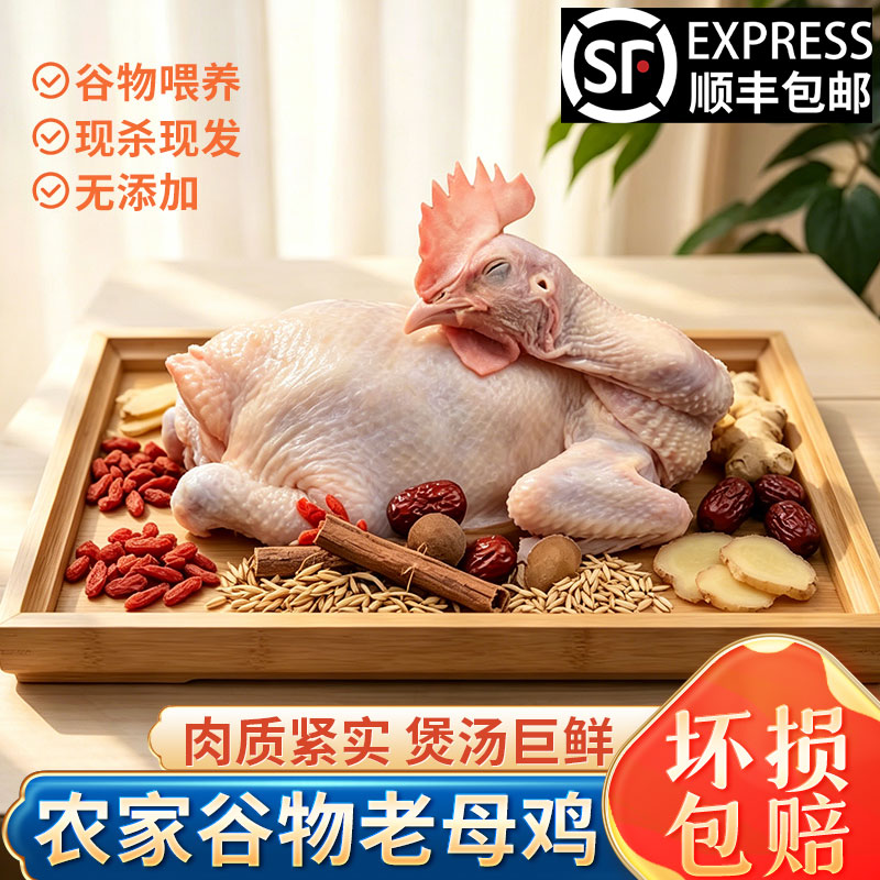 农家谷物老母鸡整鸡现杀现发
