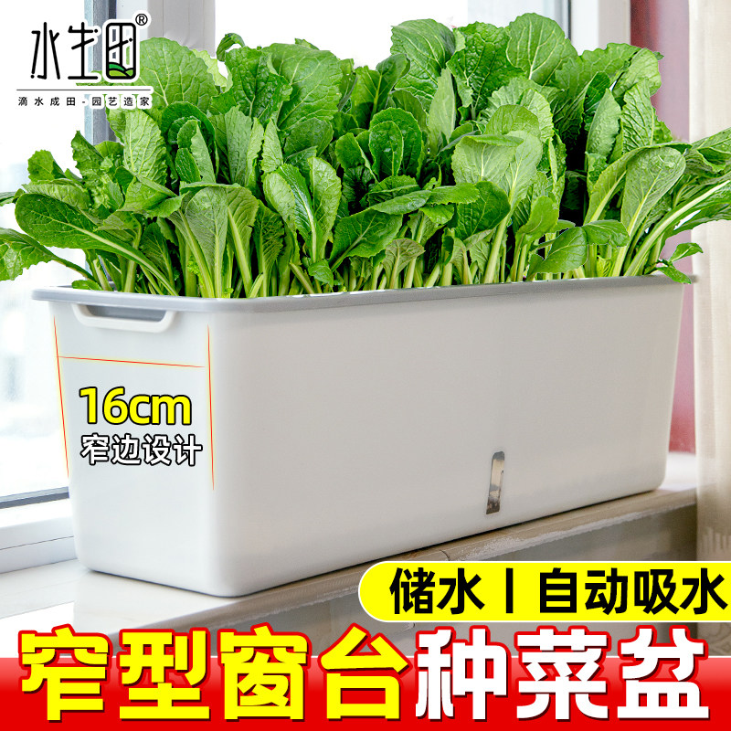 阳台种菜盆家用专用塑料