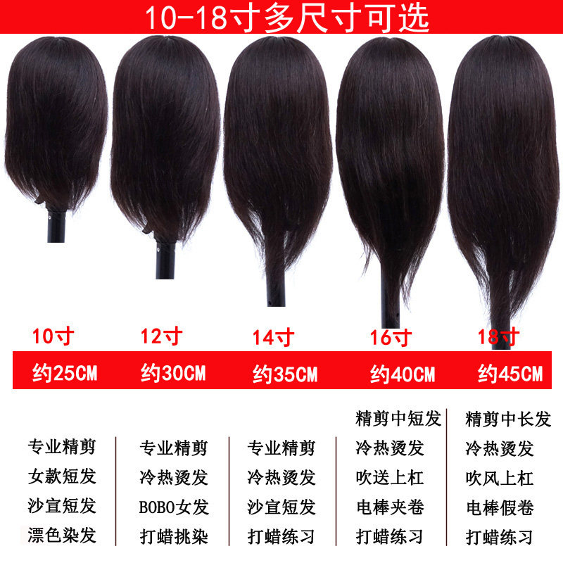 全真发大耳朵模特头学徒练习剪发假人头模美发头模可烫染漂剪造型
