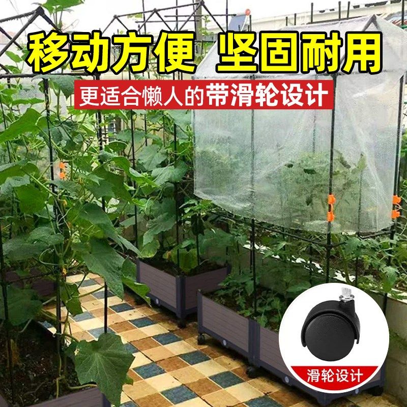 楼顶种植箱爬藤架月季黄瓜花卉蔬菜豆角通用支撑植物支架园艺花盆