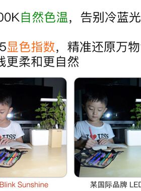 Blink Sunshine护眼无频闪高97显色指数LED灯泡台灯学习儿童禀临