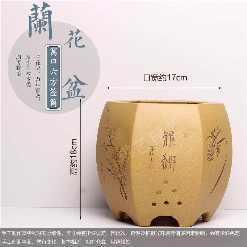 宜兴家用陶瓷紫砂盆景盆室内桌面精致园艺花卉君子兰花盆透气古典