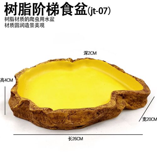 乌龟角蛙爬虫爬宠箱岩石造景深水盆食盆陆龟蜥蜴蛇饮水盆泡澡