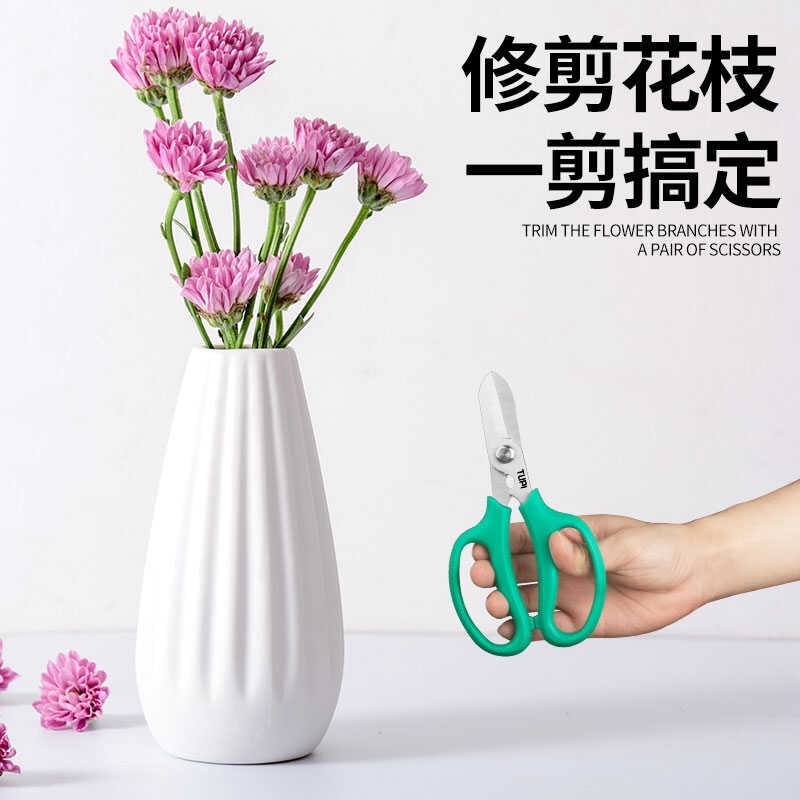 花艺剪刀玫瑰鲜花打刺修枝剪花店专用园艺插花多功能裁纸粗枝剪子图片