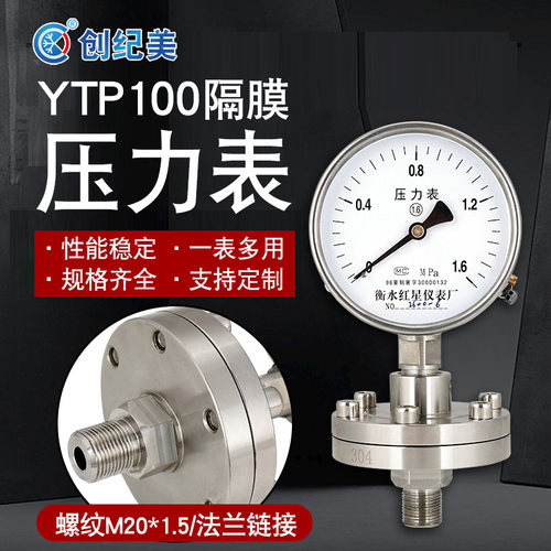 不锈钢隔膜压力表YTP100膜片式法兰连接水气压防堵耐腐蚀M20*1.5