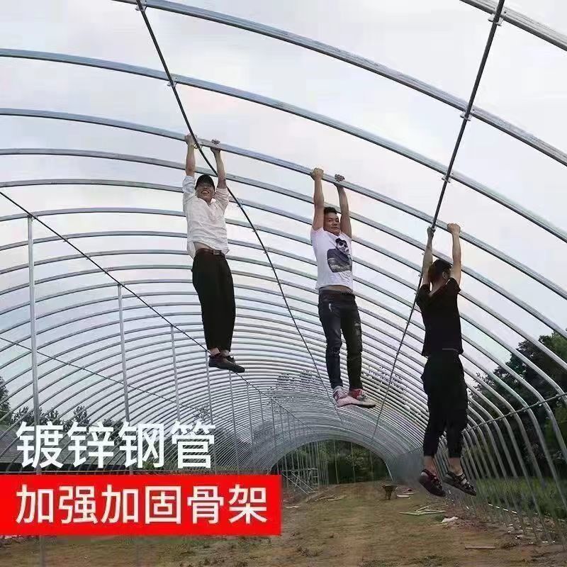 种植蔬菜大棚骨架温室养殖保温大棚全套种植大棚养鸡鸭鹅大棚骨架