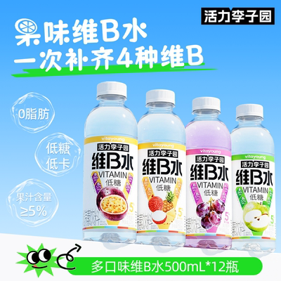 活力李子园维B水500ml*12瓶