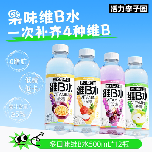 活力李子园维B水500ml*12瓶