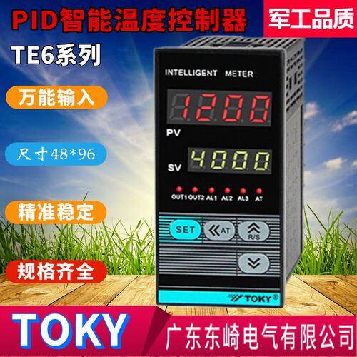 TOKY东崎温控表TE6系列温控仪TE6-RB10W SB10W RC10W SC10W DC10W