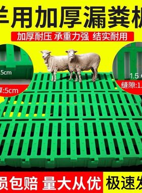 猪用复合漏粪板BMC母猪产床定位栏保育分娩床小猪育肥专用漏缝板