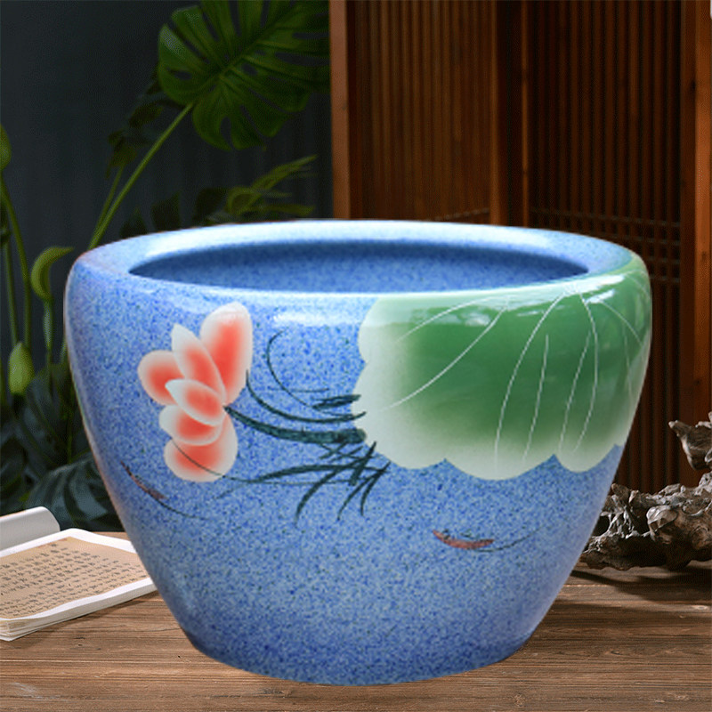 阳台落地种树大口径花盆陶瓷鱼缸睡莲一叶莲庭院发财树大水缸盆栽