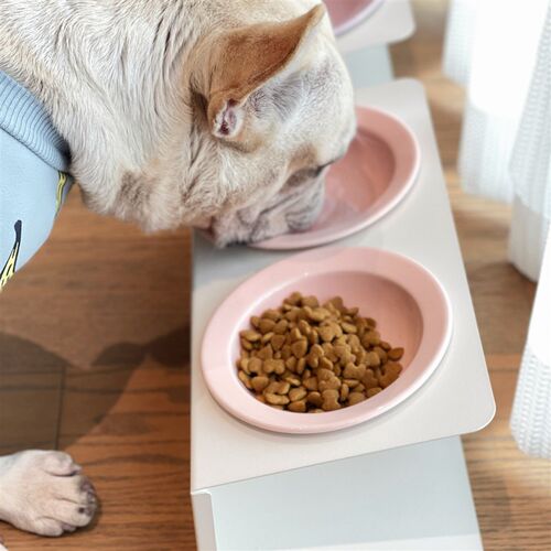 陶瓷斜口双碗飞碟草帽宠物猫咪碗高脚护颈椎防打翻饮水粮食猫狗碗