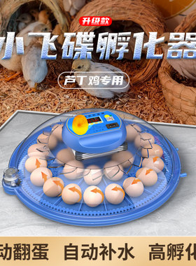 威振1/4吋套筒扳手碟孵化器小型家用迷你孵化机智能全自动鸟蛋芦