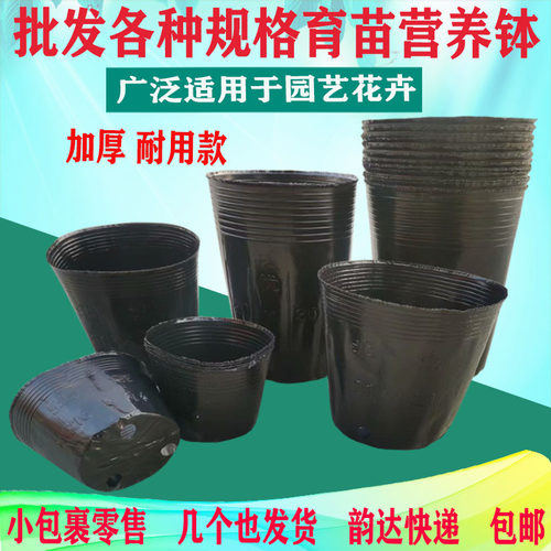 加厚营养钵育苗钵育苗杯育秧盆花盆营养杯大号黑色塑料一次性装土
