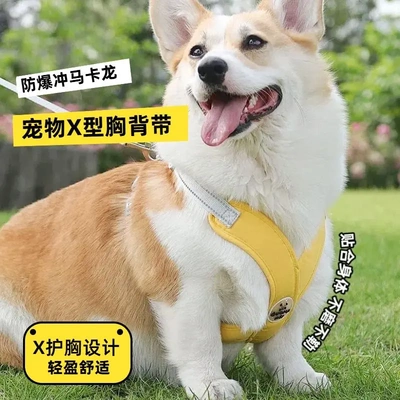 【防爆冲】新款宠物牵引绳背心式狗狗胸背带反光狗狗牵引绳宠物HH