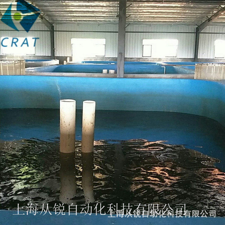 上海从锐环保型工厂化养殖设备/澳洲龙虾循环水养殖系统设计