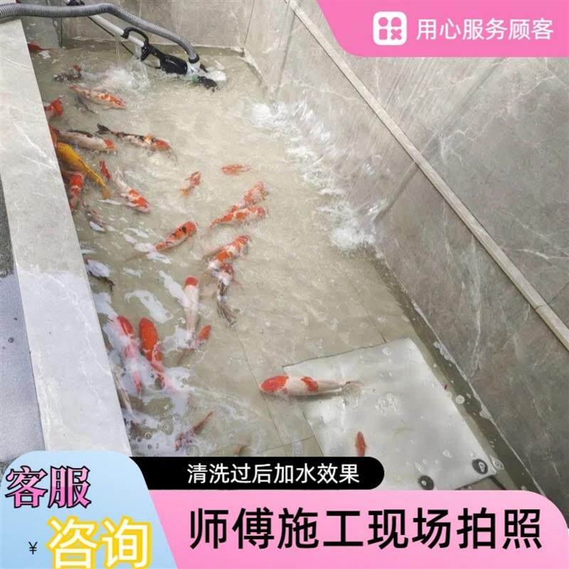上门水族优质服务鱼缸鱼池造景种草清洗换水护理清洁改造维修配件