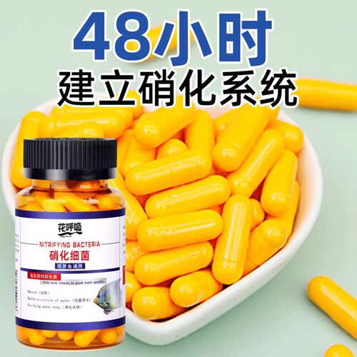 硝化细菌鱼缸专用水质净水剂消化细菌鱼用养鱼净水稳定剂乌龟水族