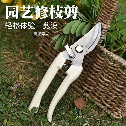 修枝剪专用花剪园艺园林修枝园丁剪嫁接强力采摘剪树枝剪刀家用剪