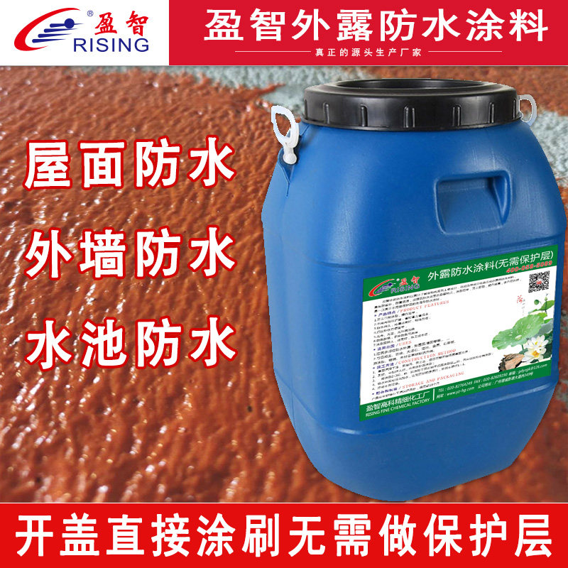 屋顶补漏防水涂料 屋面外墙外露防水 无需做保护层 防水堵漏材料