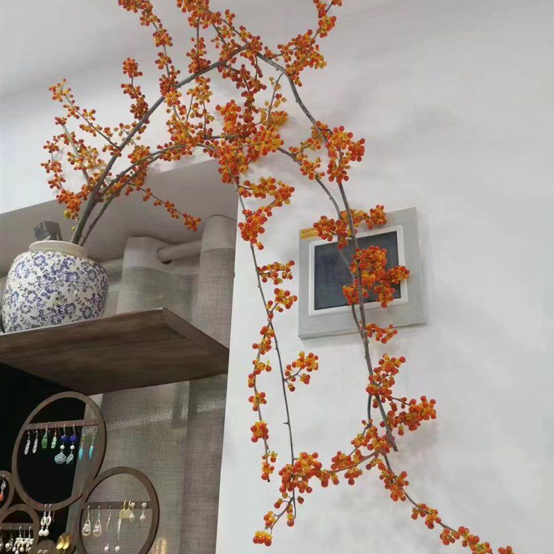 南蛇腾果南蛇藤鲜切枝条鲜花可干花长期观赏