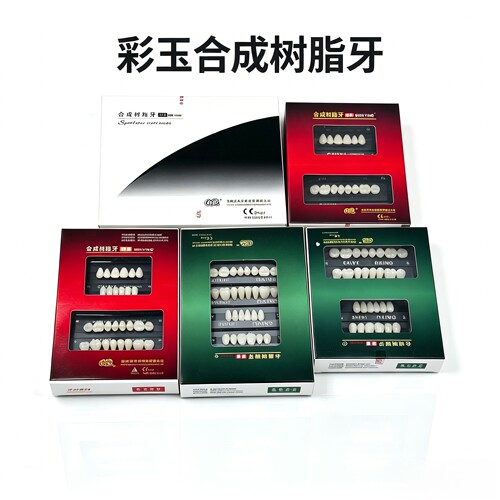 牙科塑钢牙彩玉合成树脂牙