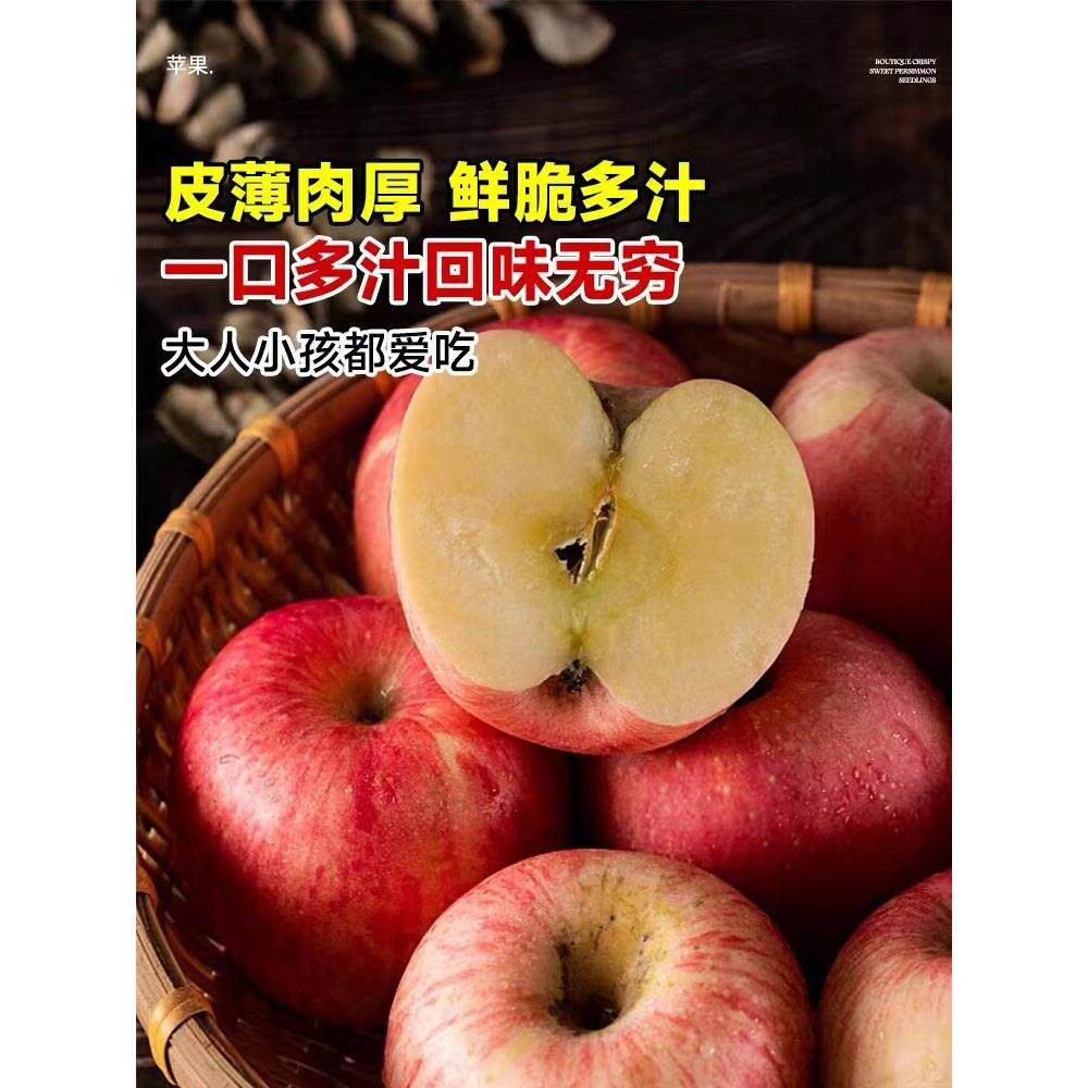 苹果树苗盆栽南方北方种植地栽冰糖心苹果苗活苗矮化果树当年结果图片