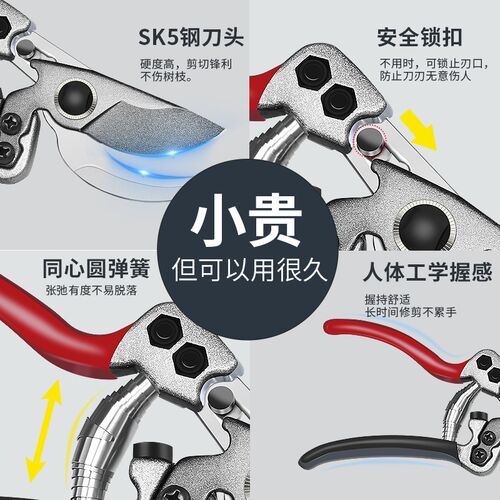 修枝剪 园艺剪刀剪树枝专用剪刀园林修剪果树修枝花艺修花剪SK5