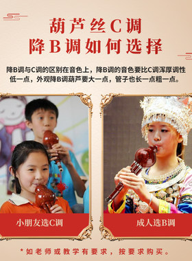 葫芦丝c调降b调小学生专用初学者成人儿童演奏型专业民族乐器