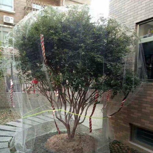果树防虫网大棚蔬菜地农用抗老化果园加厚防蚊蝇防鸟网60/80100目