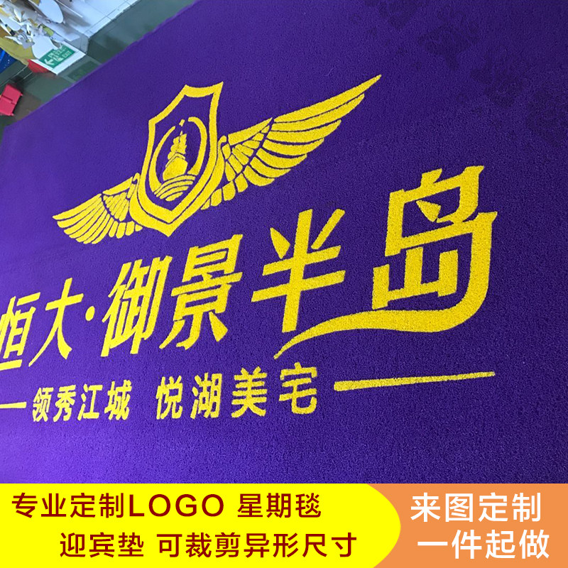 无模压印免开模订制定做印字logo喷绘PVC地毯喷丝圈地垫门口防水